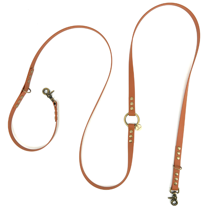 Kitsunē BioThane® Multi-Position Dog Lead – Montmartre Brown