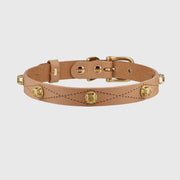 Tan leather dog collar with gold hardware on a light gray background