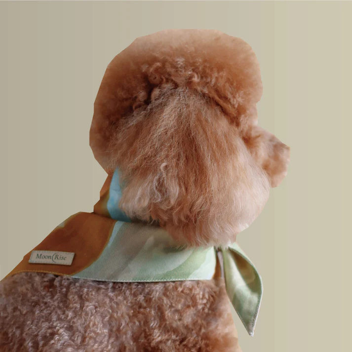 Stylish ochre dog bandana designed for everyday wear, walks and special occasions.