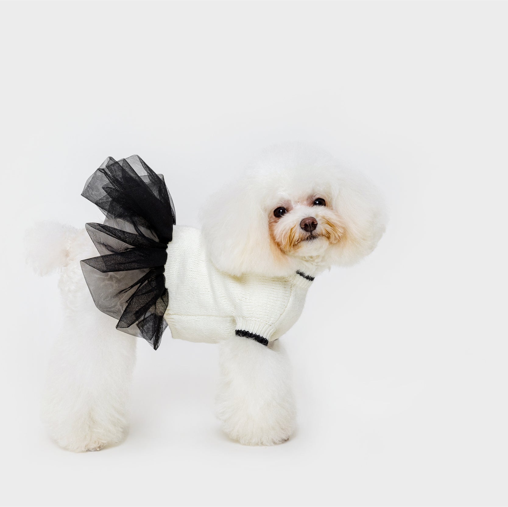 Black and white designer dog outfit by Overglam London
