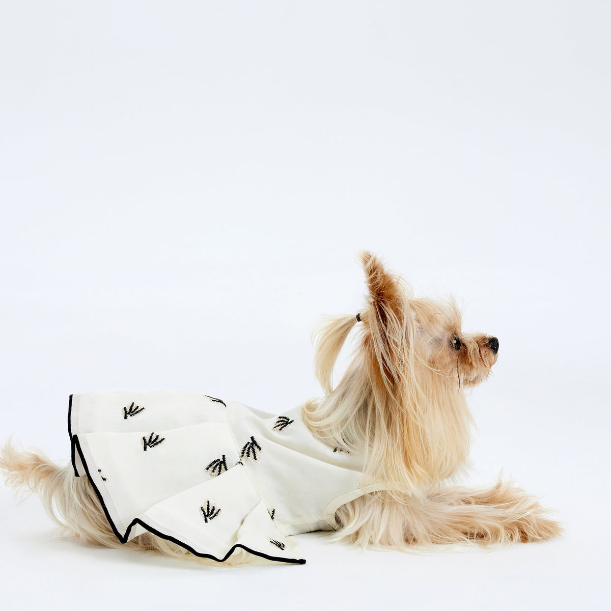 Cream designer dog dress by Overglam London