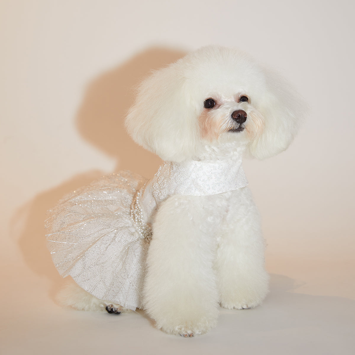White bridal-inspired wedding dress for dogs by Overglam