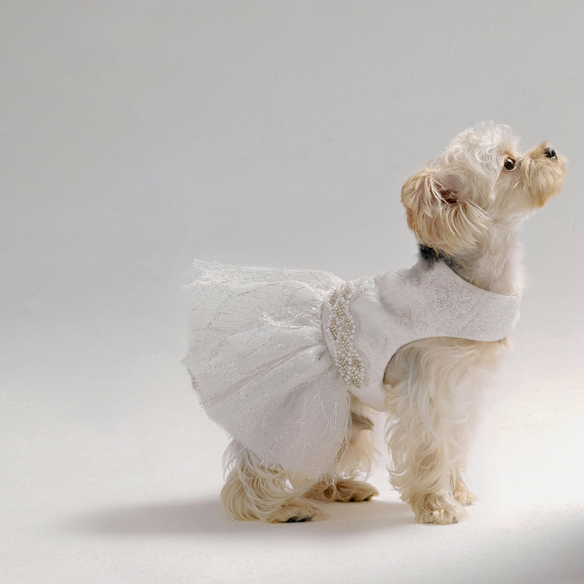 Luxury white dog wedding dress by Overglam London