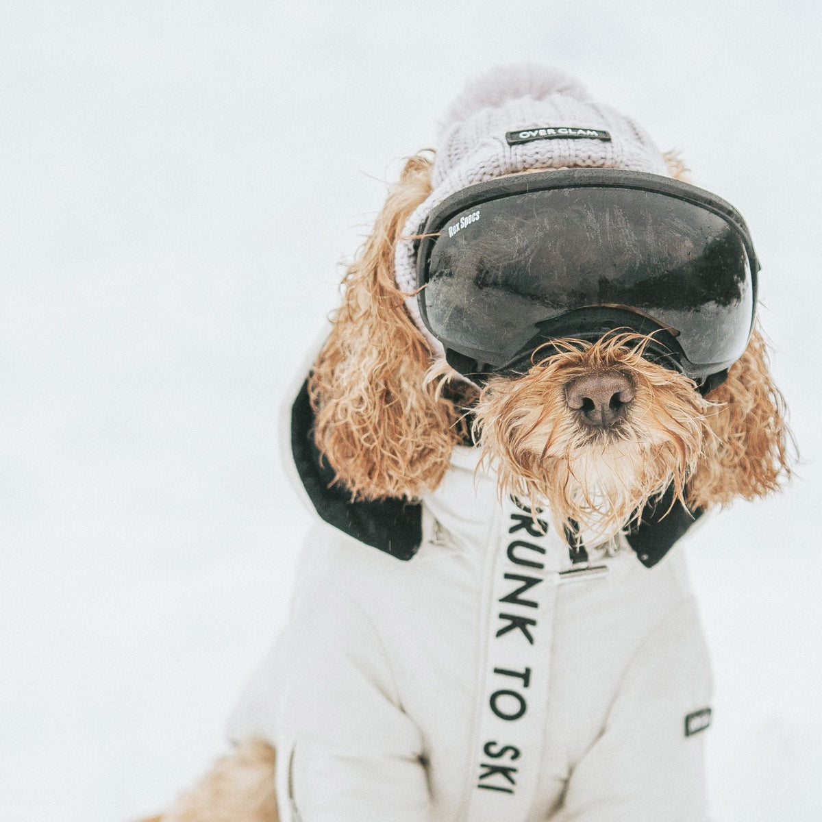 White hooded dog puffer jacket by Overglam London