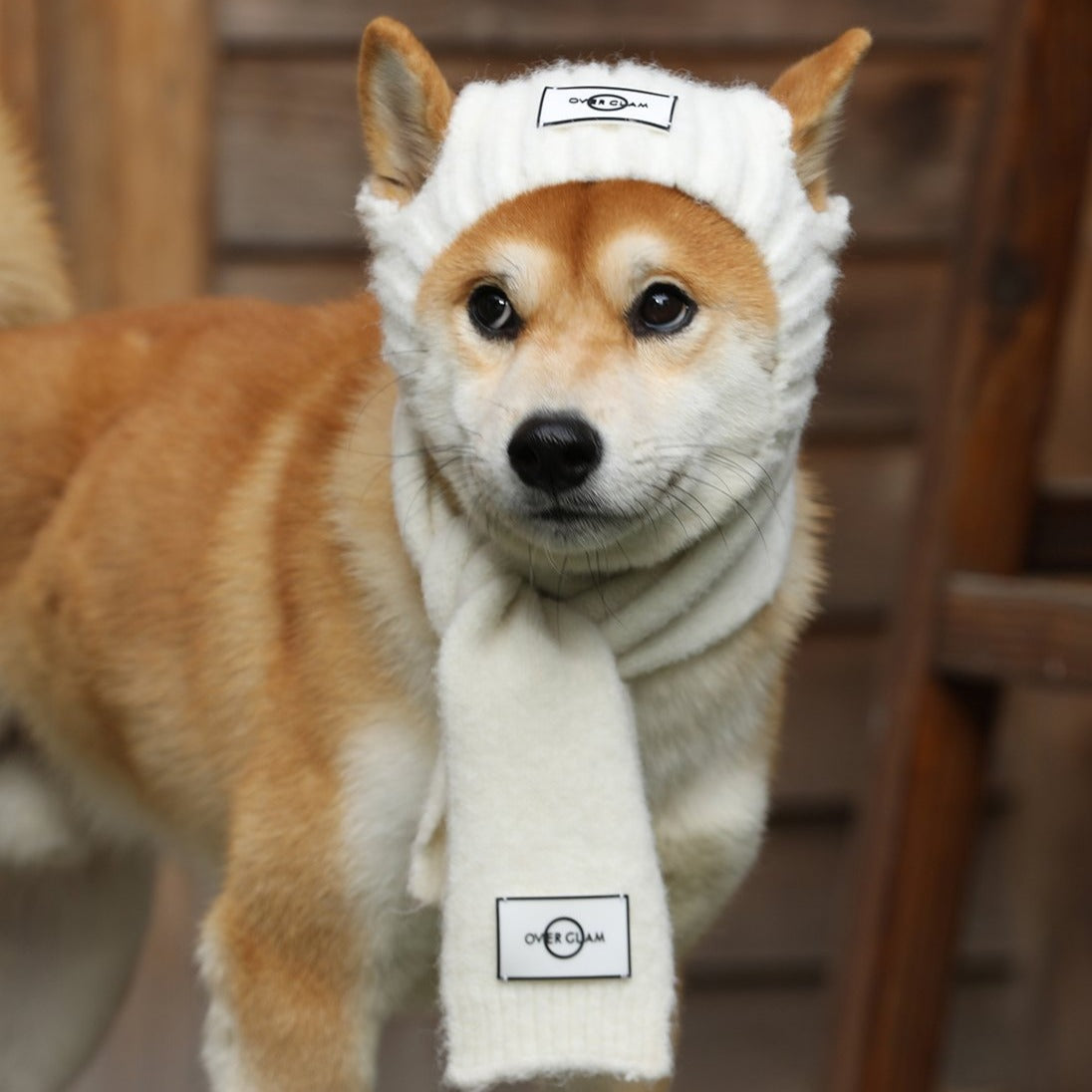 Wool blend knitted dog hat by Overglam