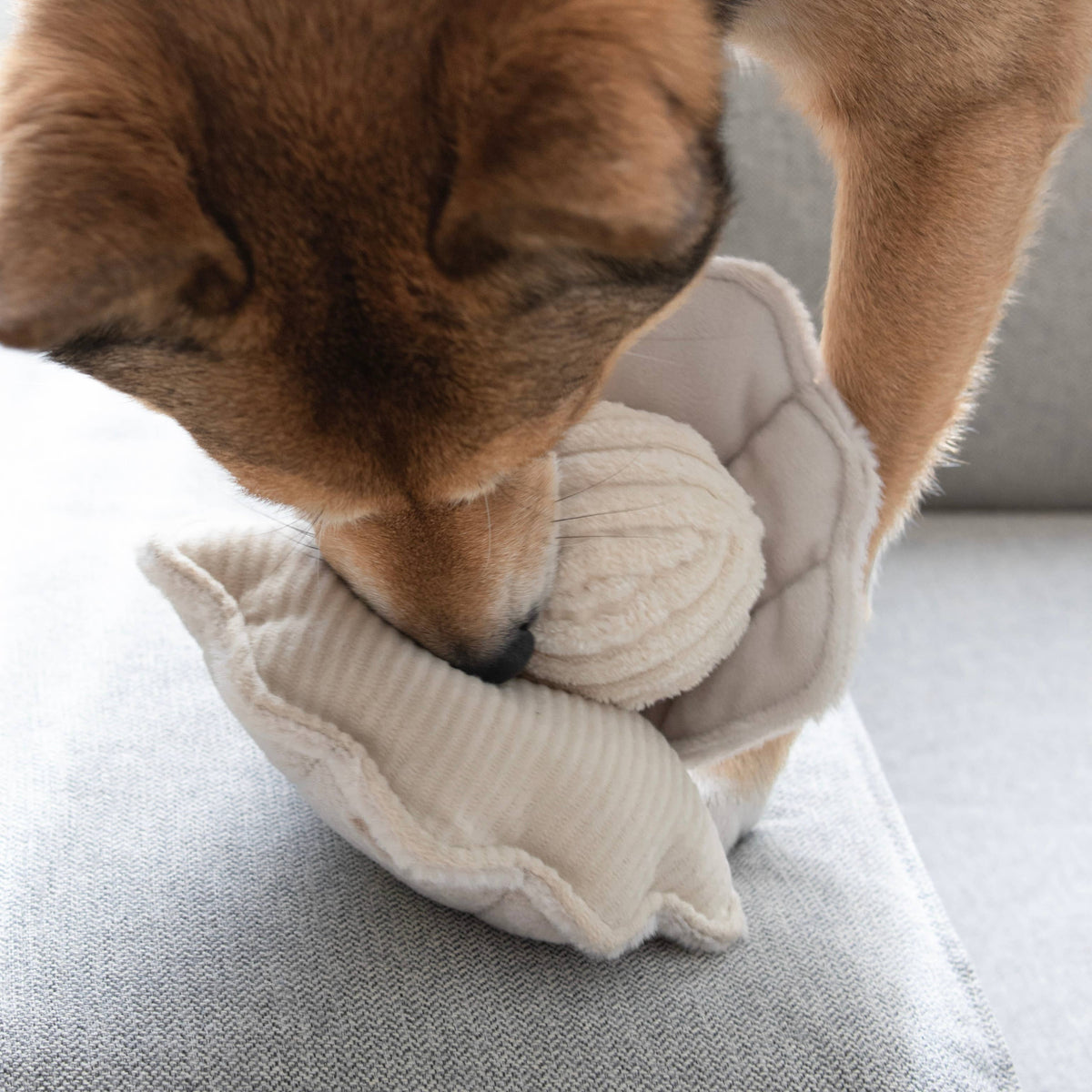 Oyster shaped interactive dog toy by Lambwolf Collective with removable pearl