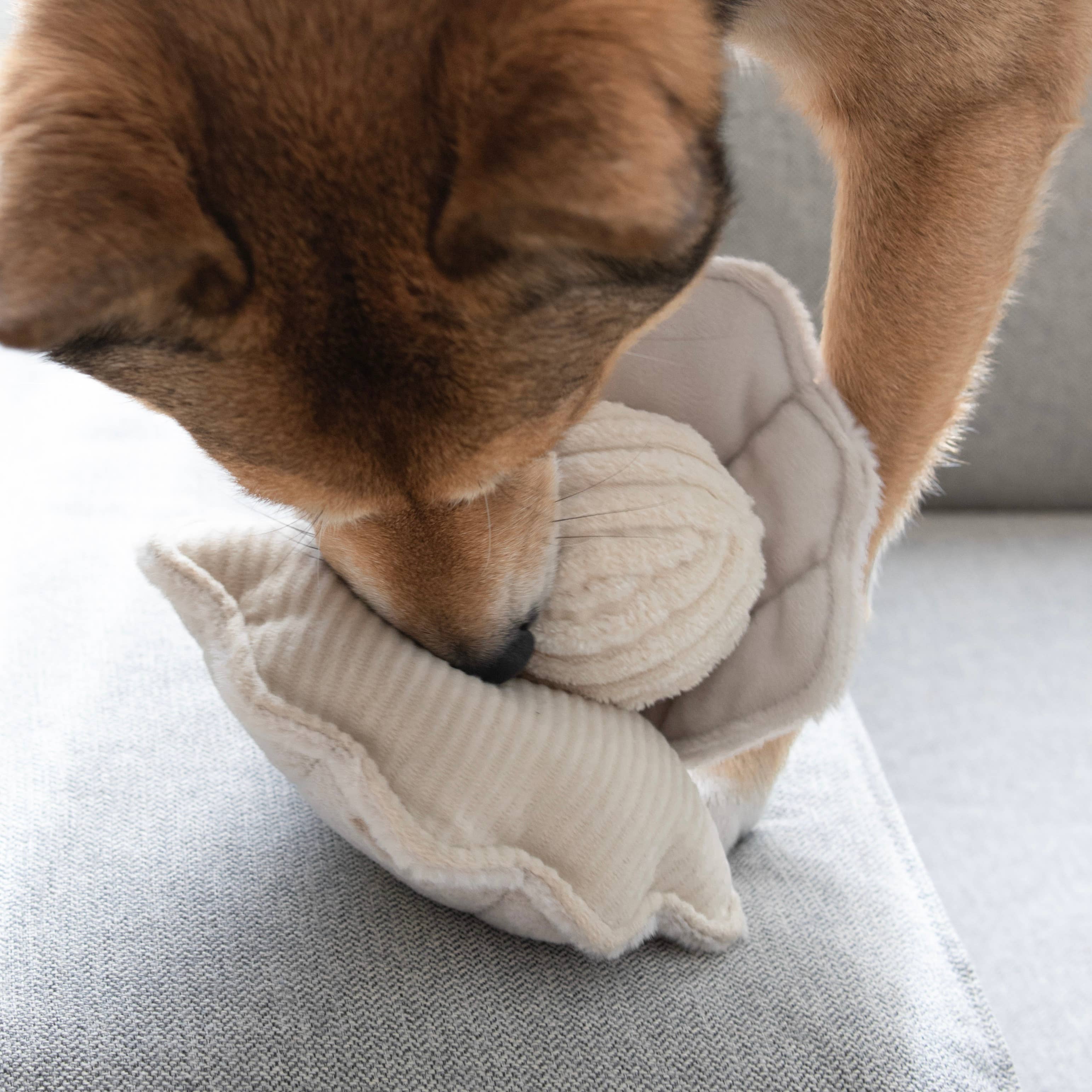 Oyster shaped interactive dog toy by Lambwolf Collective with removable pearl