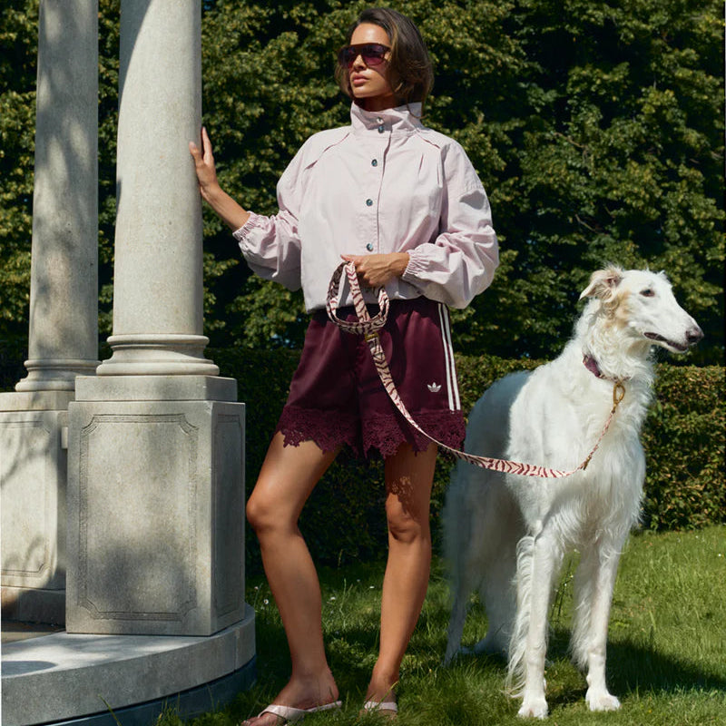 Stylish woven polyester dog collar with an ethnic-inspired design.