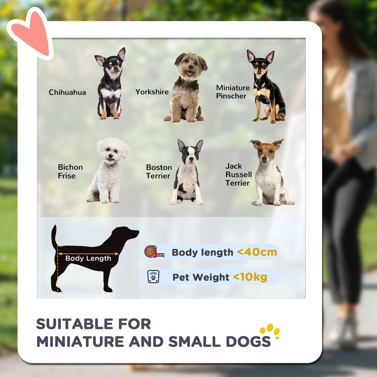 Foldable PawHut pet stroller with enclosed grey carrier