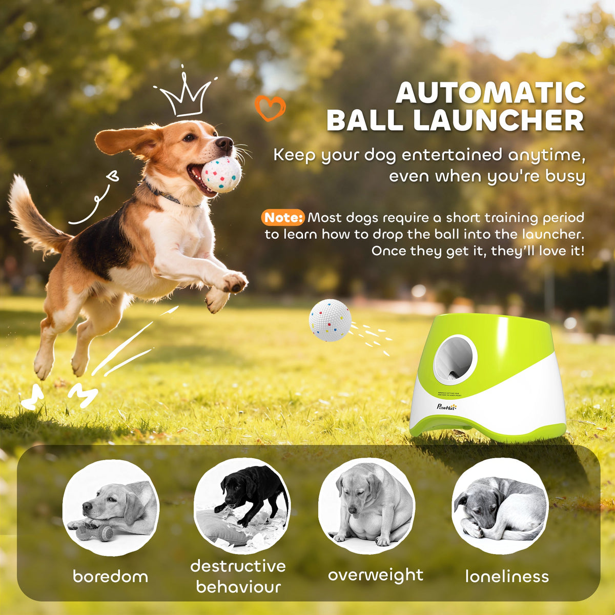 Green interactive PawHut dog ball launcher for games of fetch