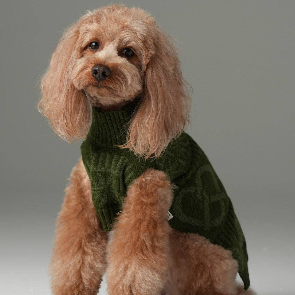Pehom Pretzel knitted dog sweater in olive green for autumn and winter.