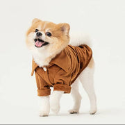 Orange Pehom Stainway dog shirt made from soft striped velvet fabric.