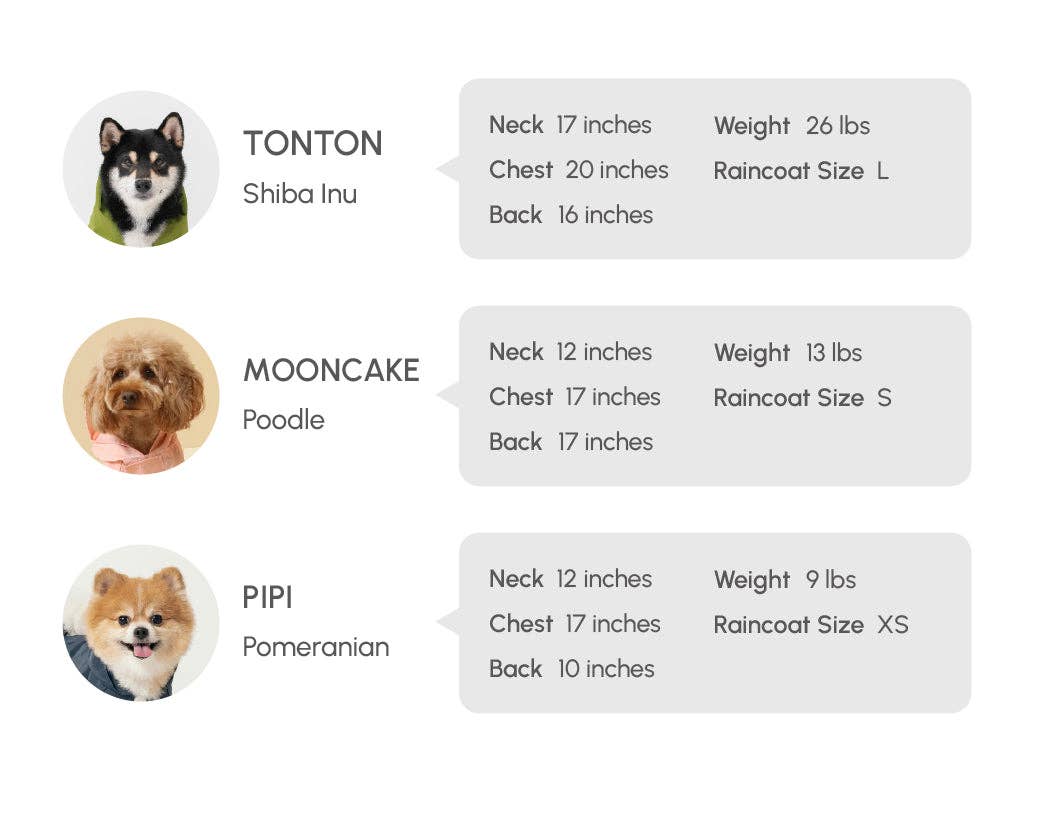 Dog breed information with measurements and raincoat size suggestions on a white background