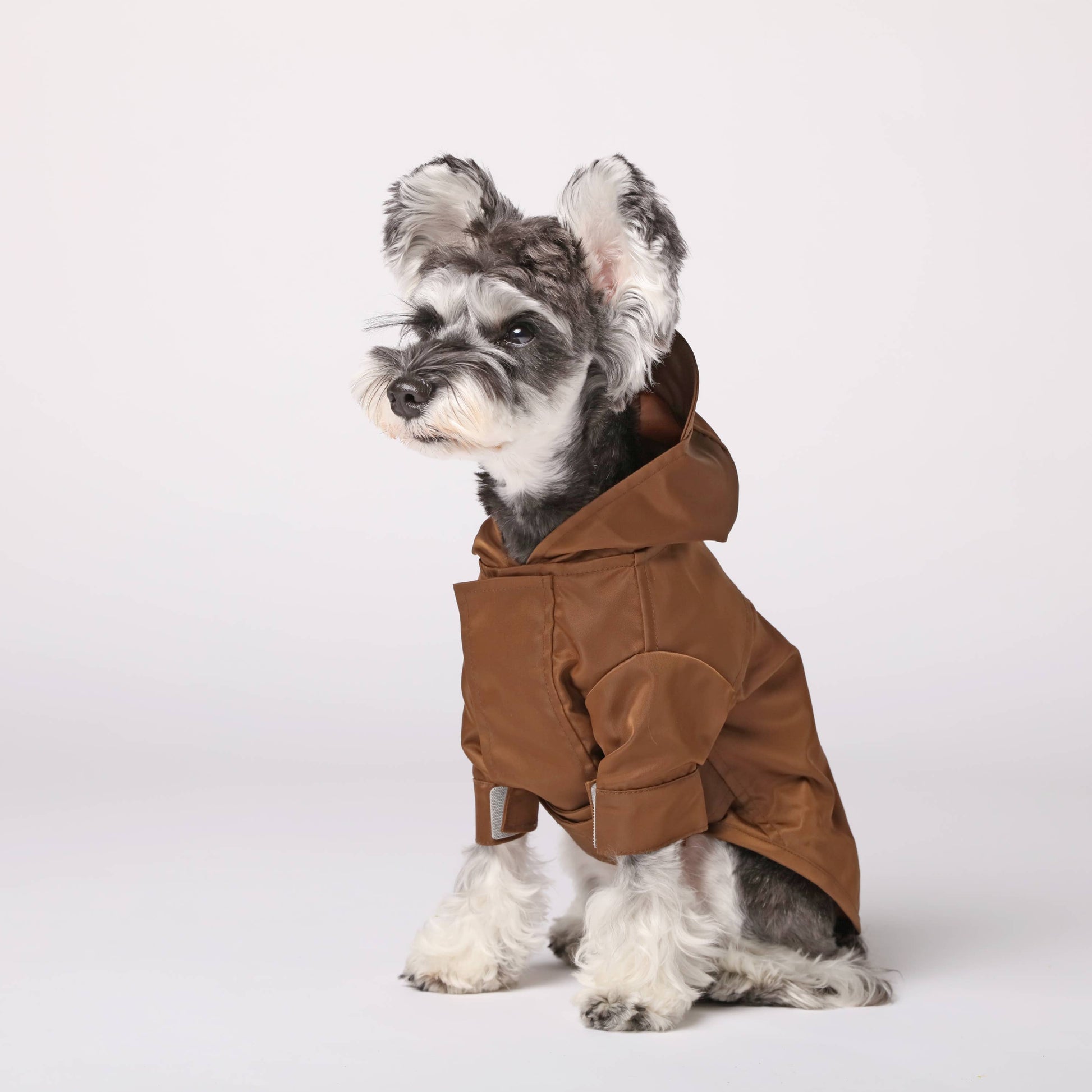 Dog wearing a brown coat with a hood on a white background