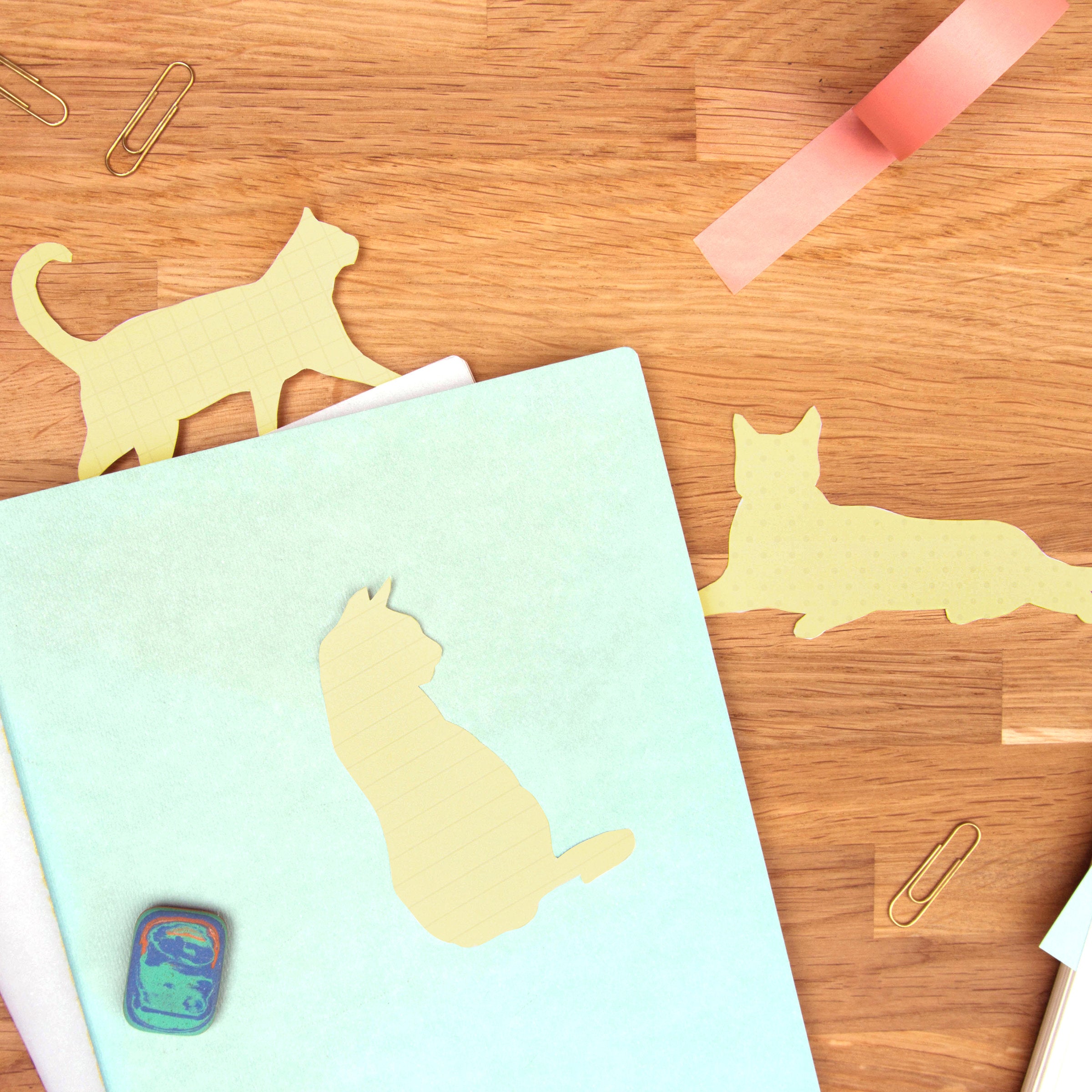 Cat and sticky notes used as desk accessories for organisation and reminders