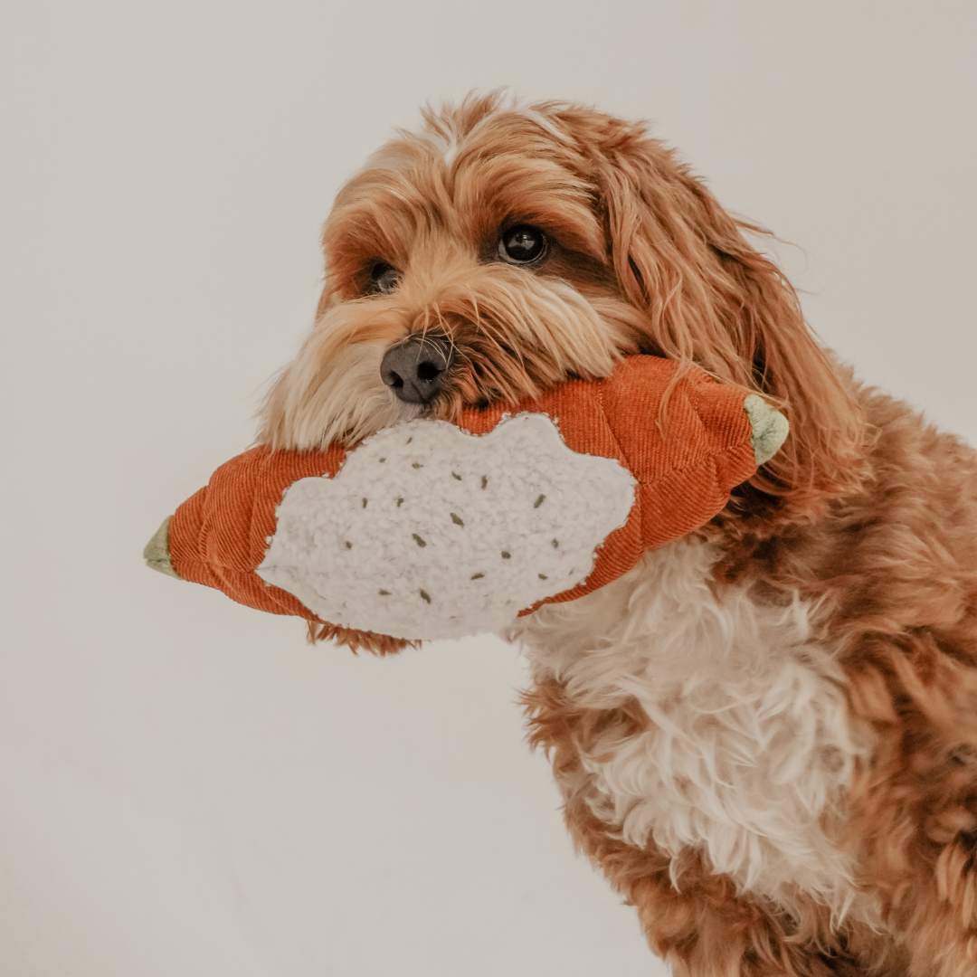 Pistachio croissant shaped dog toy by By Teddy