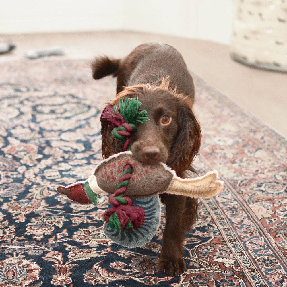 Soft pheasant-shaped dog toy with durable fabric construction.