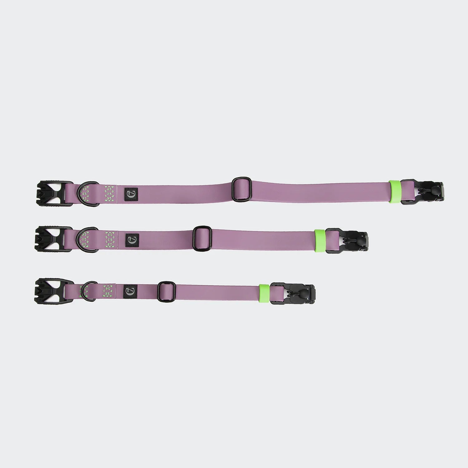 Three purple dog collars with black buckles and green accents on a light gray background