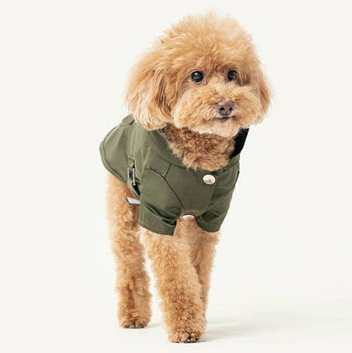 Tailored Pehom dog raincoat with adjustable Velcro fastening.