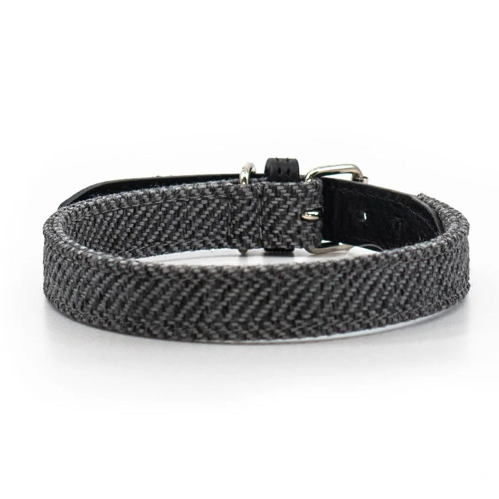 Luxury designer dog collar with weather-resistant Italian buckle and black leather trim