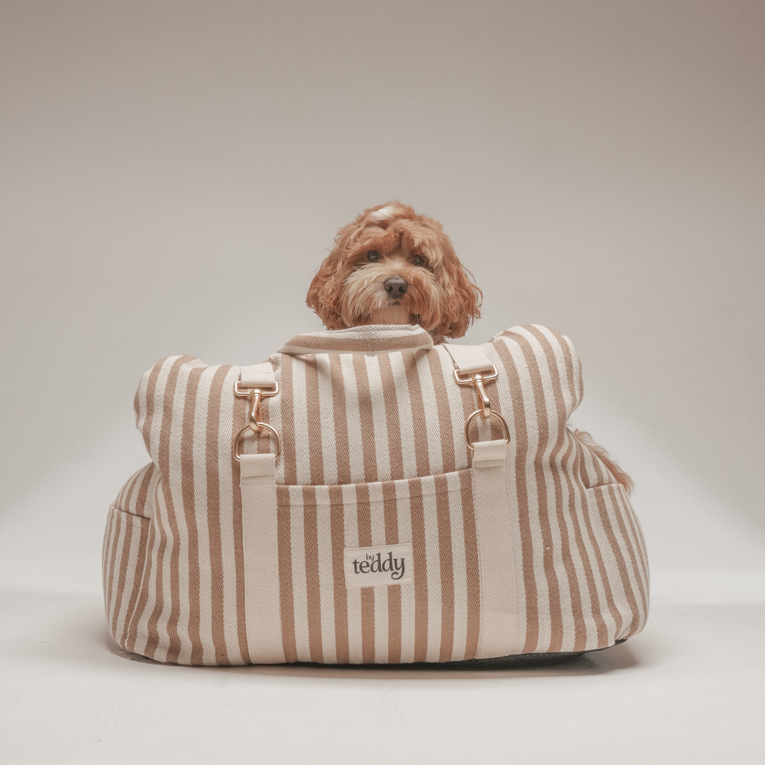 Dog sitting inside a striped pet carrier with 'Welly' branding on a plain background