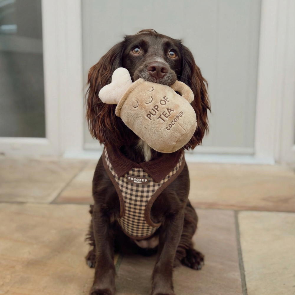 Cute cup of tea shaped plush dog toy with squeaker by Cocopup London.
