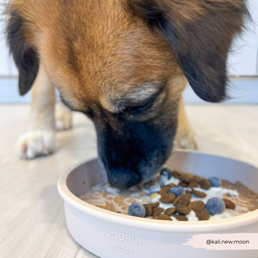 Pupberry Fields 2-in-1 slow feeder and enrichment lick bowl for dogs.