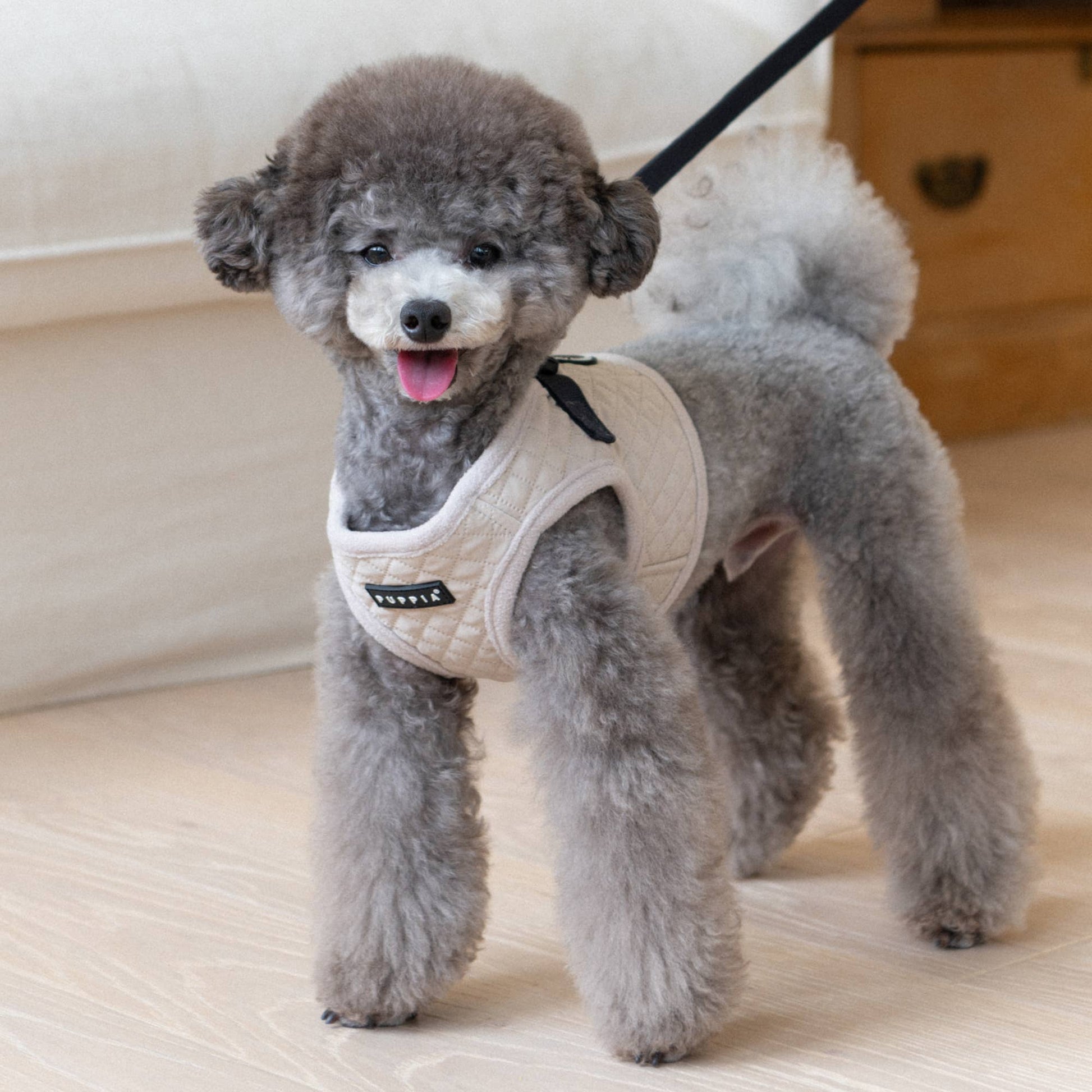 Puppia Irvin Harness B cream dog harness designed for winter walks