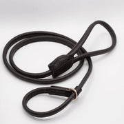 slip lead for dogs 