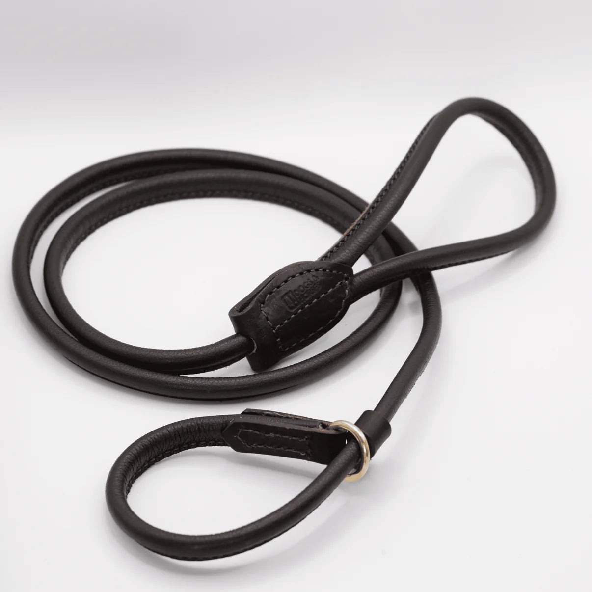 slip lead for dogs 