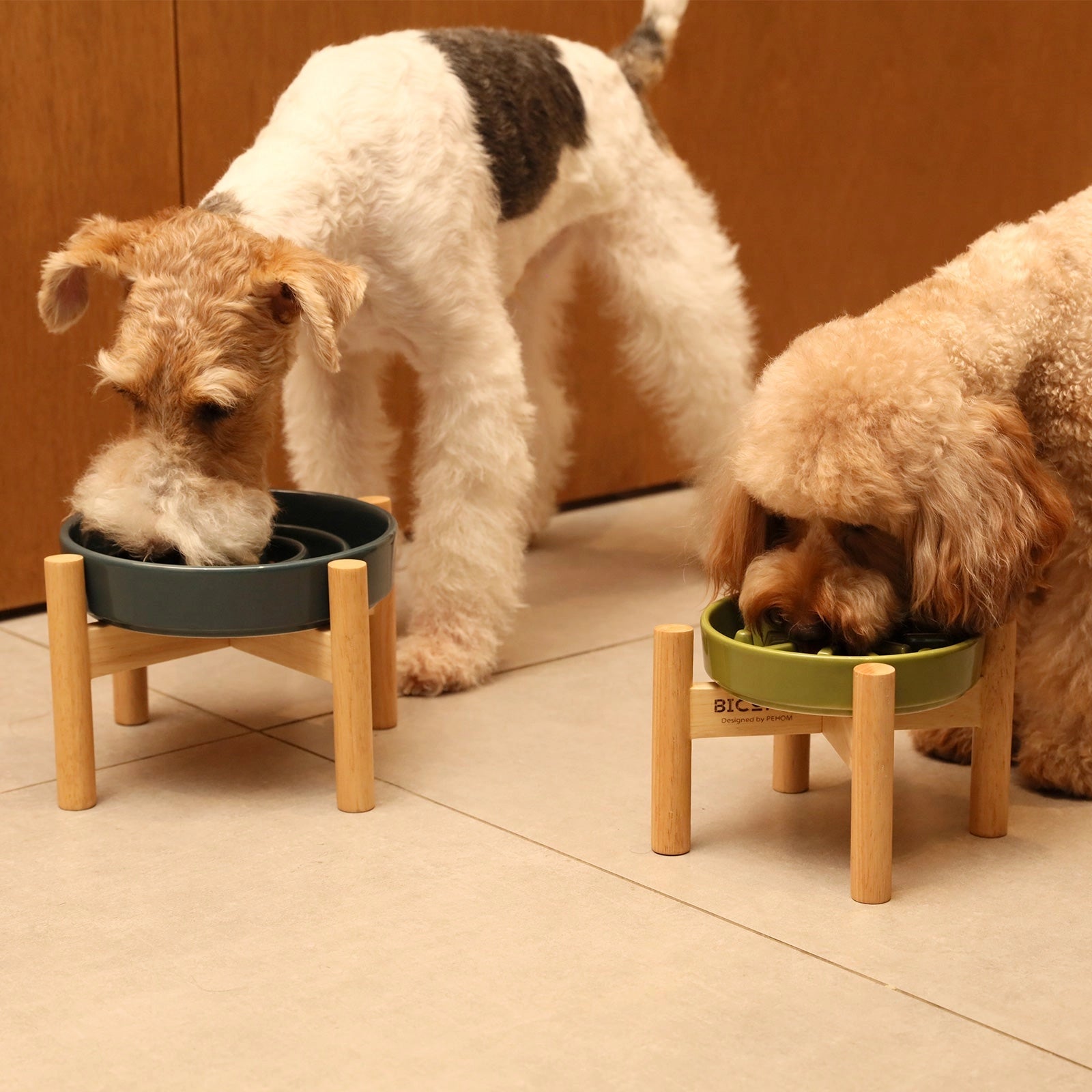 Two dogs eating from elevated dog bowls on a tiled floor.