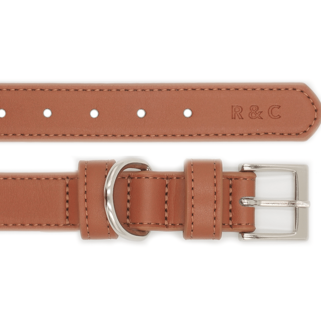 Close-up detail of Ralph & Co brown eco leather dog collar and hardware