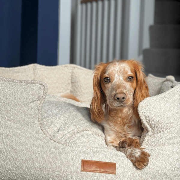 Ralph & Co Cotswold luxury oatmeal bouclé dog bed with high supportive walls