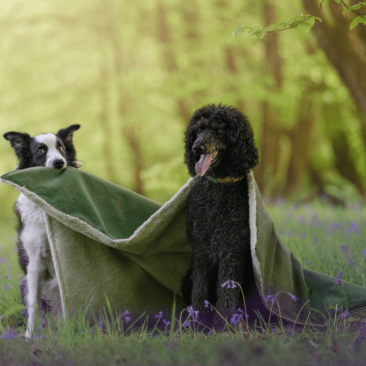 Ralph & Co green dog blanket with stonewashed fabric and soft sherpa reverse