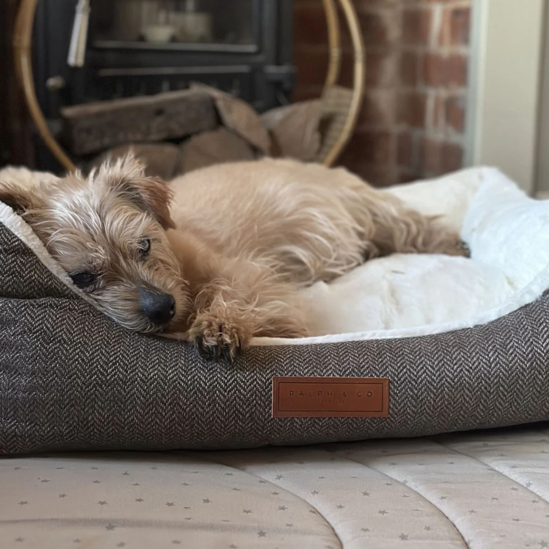 Dog lying on a textured pet bed with a fireplace in the background