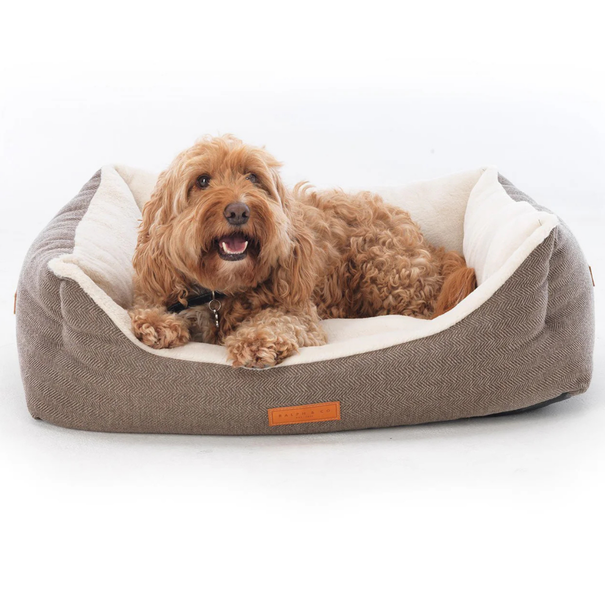 Dog lying on a tweed bed by Ralph and co 