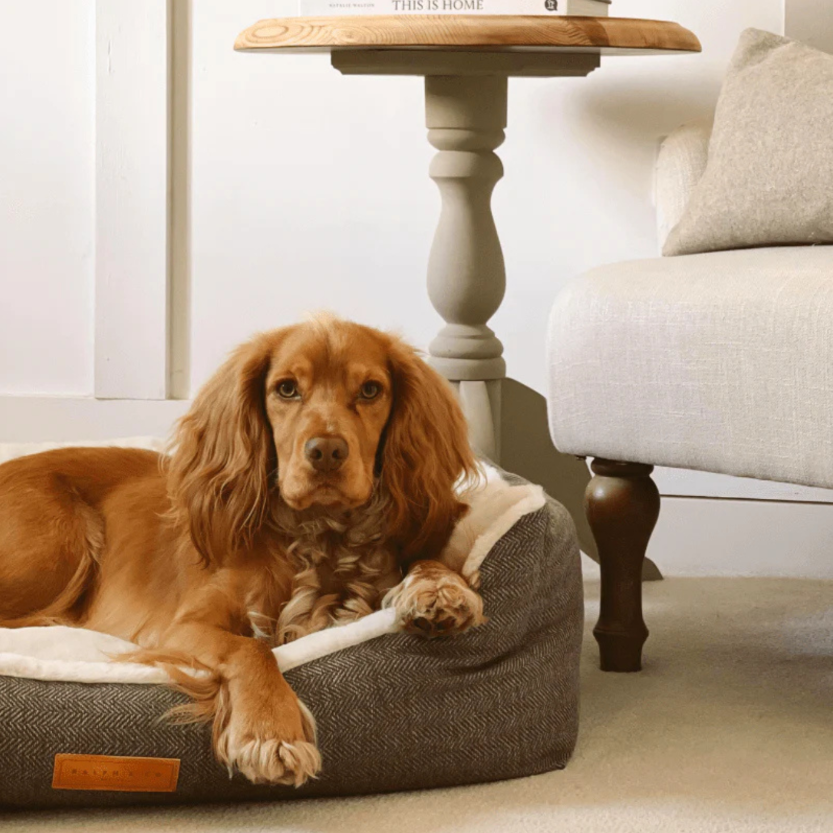 bell & beau dog bed Lincoln from bell & beau shop 