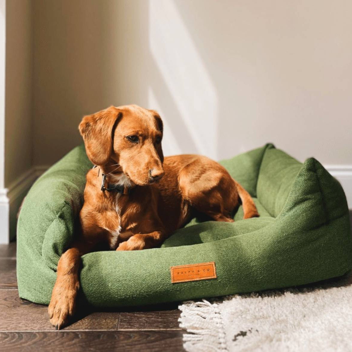 Ralph & Co Richmond luxury green bolster dog bed with cosy sherpa fleece interior