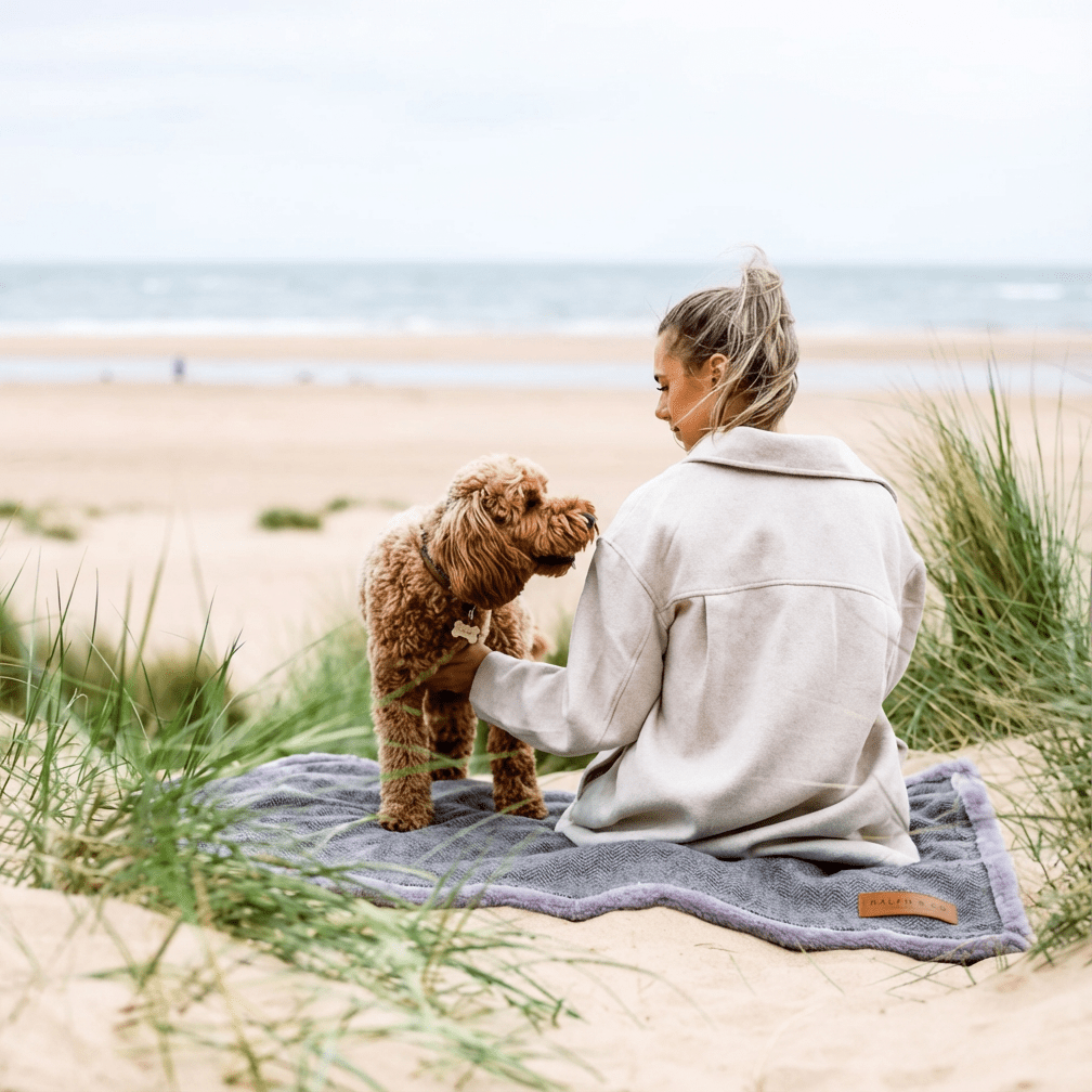 Person sitting on a beach with a dog on a towel by ralph and co 