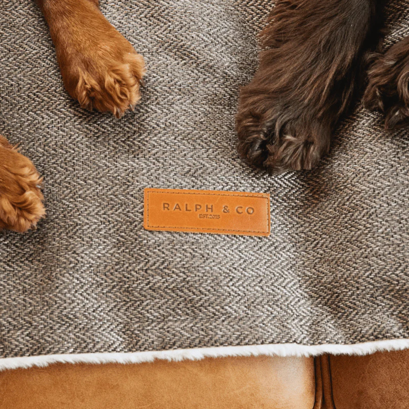 Dog paws on a textured blanket with 'Ralph & Co' label shop bell & beau 