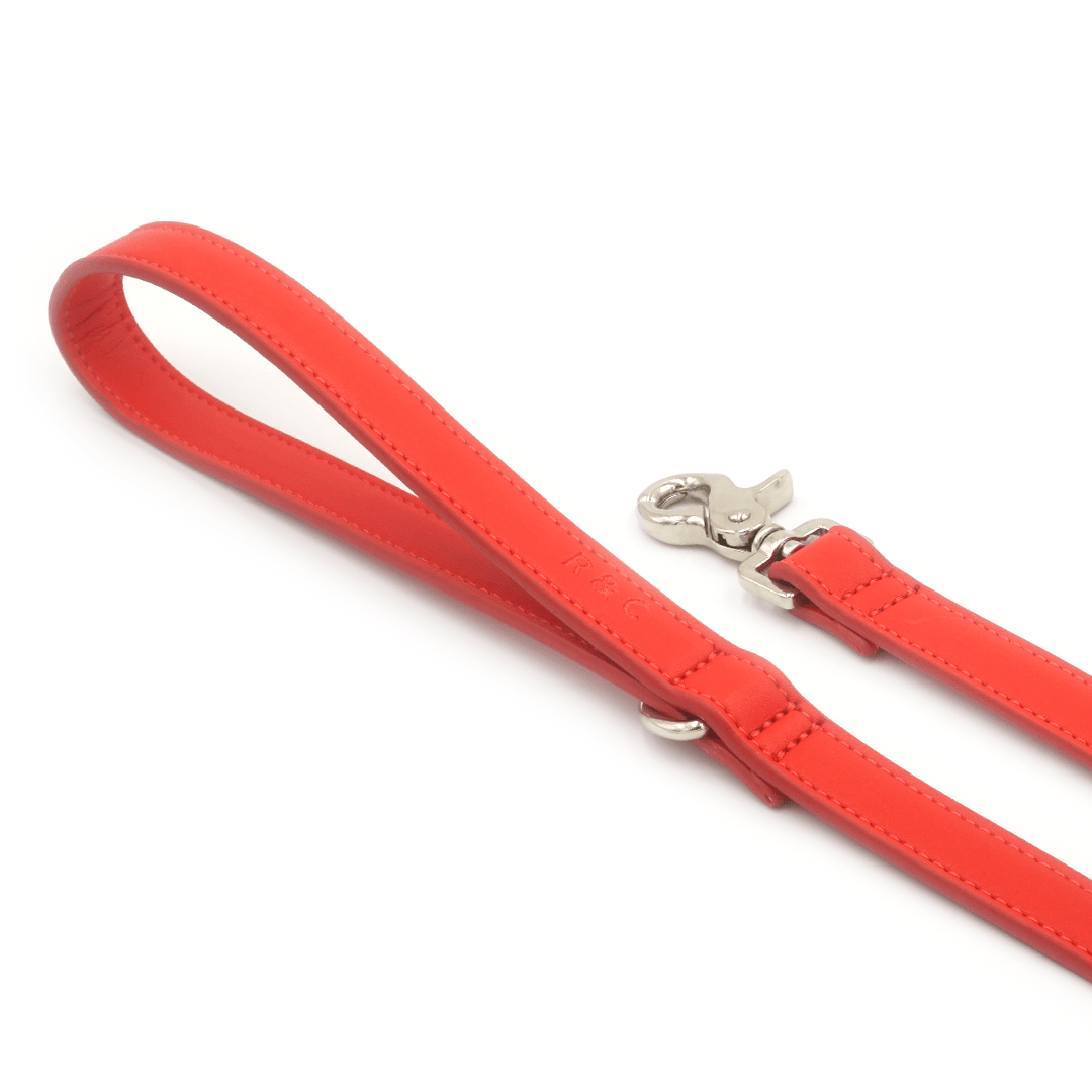 Classic red eco leather dog lead by Ralph & Co for stylish everyday walks
