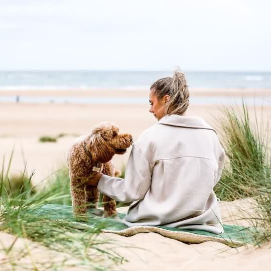 Richmond reversible green dog blanket by Ralph & Co with cosy sherpa fleece lining