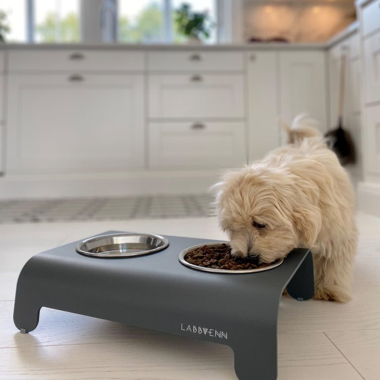 Contemporary Grey aluminium dog feeding station with removable stainless-steel bowls.