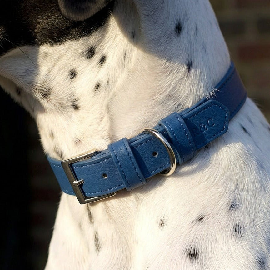 Royal blue dog collar by Ralph & Co with a smart leather-look finish