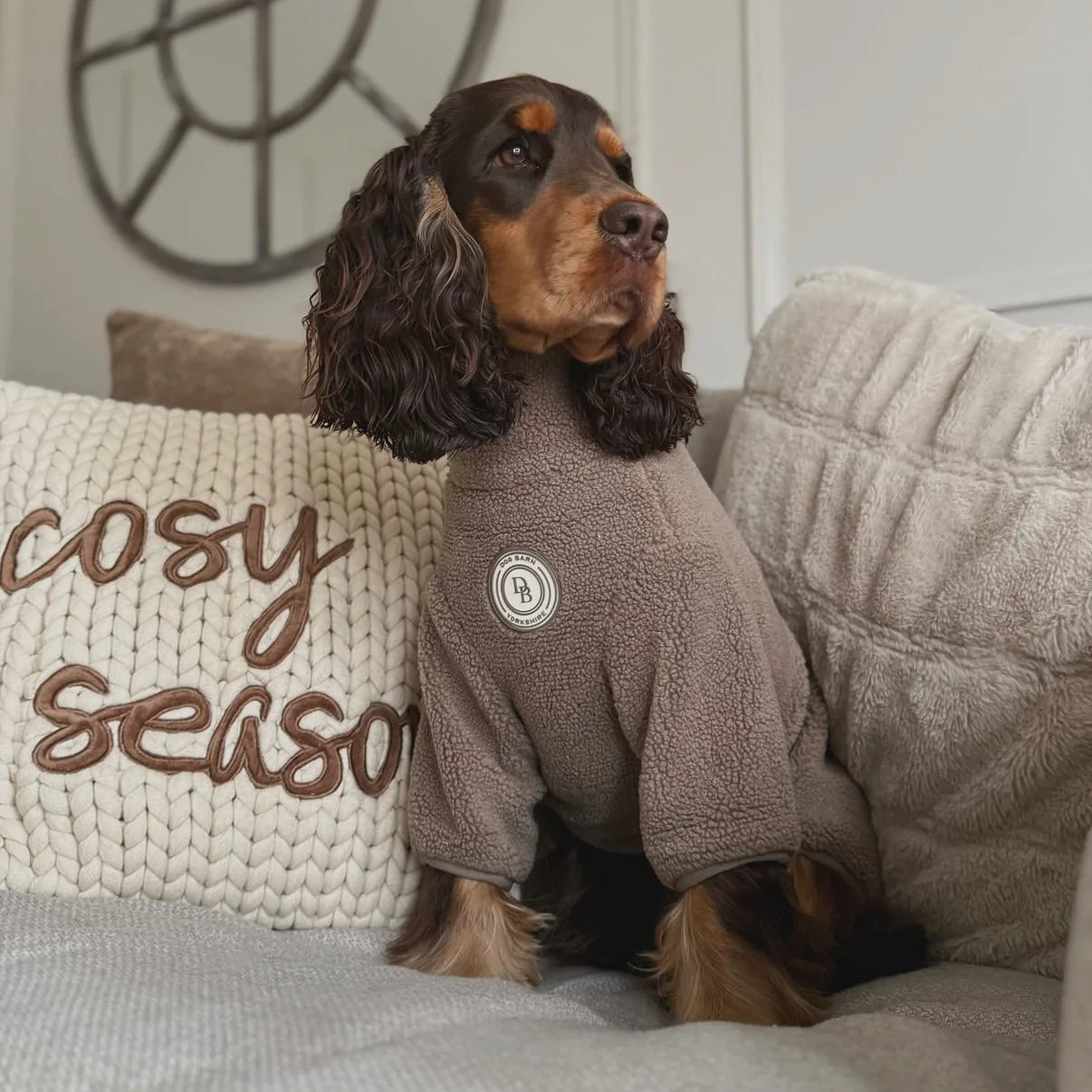 Dog wearing a brown fleece onesie sitting on a couch with 'cosy season' text.