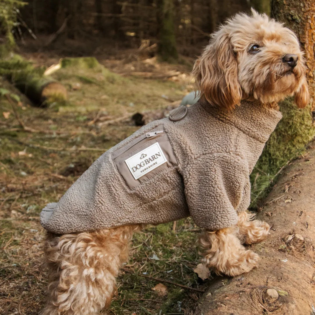 Dog wearing a gray fleece coat with a brand logo, standing on a log in a forest setting.