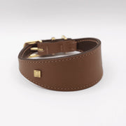 Brown leather dog collar with gold hardware on a white background