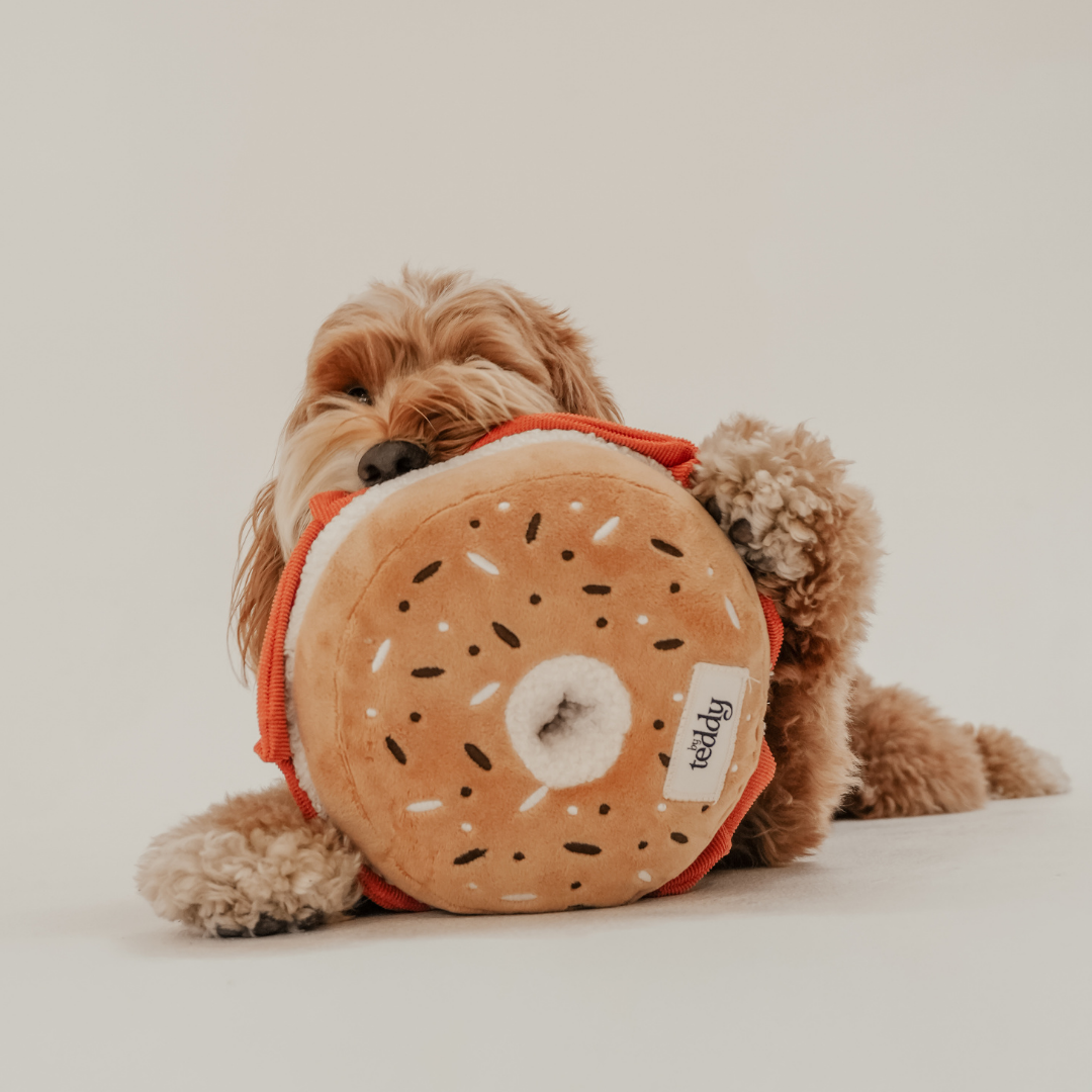 Salmon and cream cheese bagel shaped dog toy by By Teddy