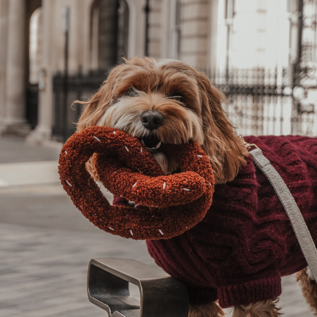 Salted pretzel shaped dog toy by By Teddy