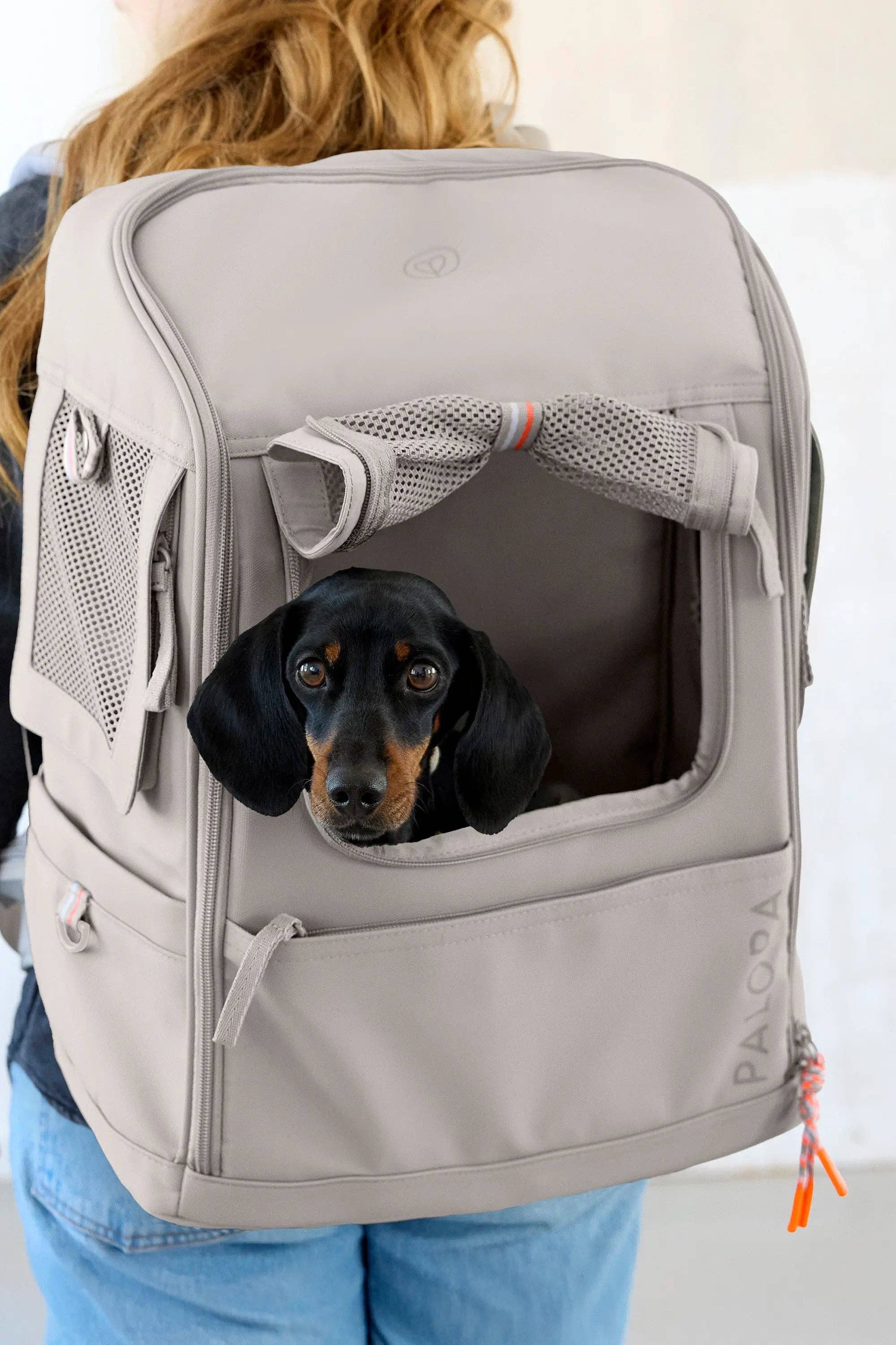 Premium dog backpack with internal safety tether and secure zip closures for safe travel.